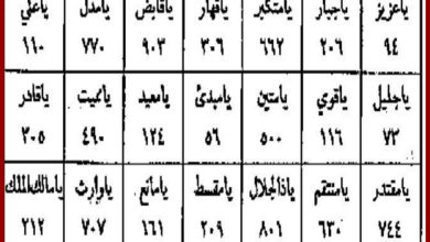 شيخ روحاني للتفريق بين الزوجين وأعمال الكراهية والبغضاء