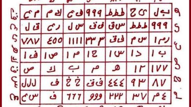 كيف اجعل زوجي كلبي ما هي الطريقة الصحيحة والمضمونة