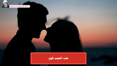 جلب الحبيب قوي