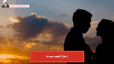 ارجاع الحبيب بسرعه