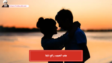 جلب الحبيب راكع ذليلا