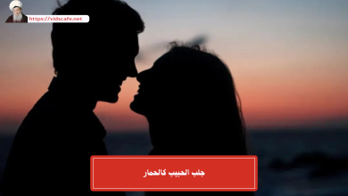 جلب الحبيب كالحمار