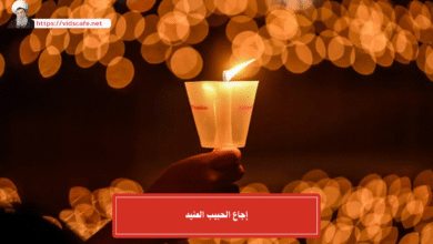 إجاع الحبيب العنيد