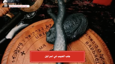 جلب الحبيب في اسرائيل