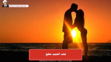 جلب الحبيب مطيع