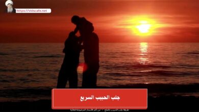 جلب الحبيب السريع