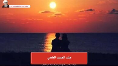 جلب الحبيب العاصي