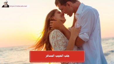 جلب الحبيب المسافر