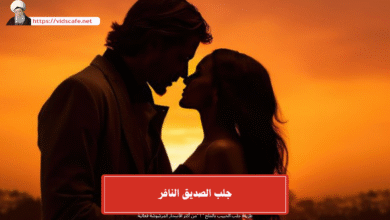 جلب الصديق النافر